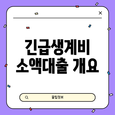 긴급생계비 소액대출 개요
