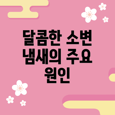 달콤한 소변 냄새의 주요 원인