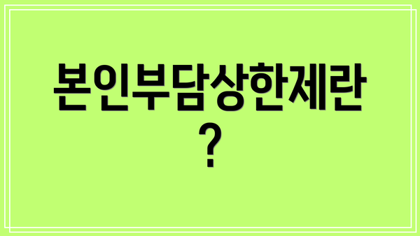 본인부담상한제란?
