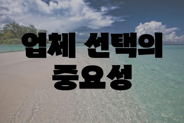 업체 선택의 중요성