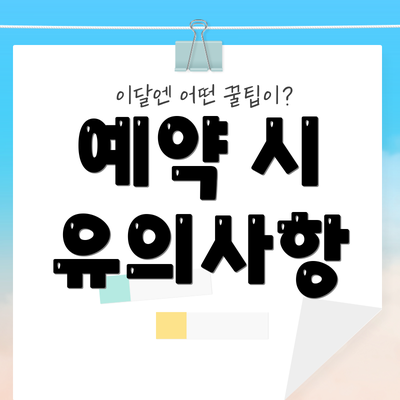예약 시 유의사항