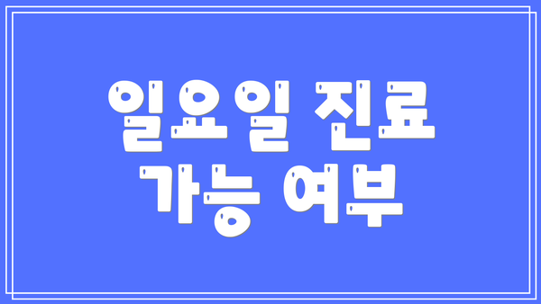 일요일 진료 가능 여부