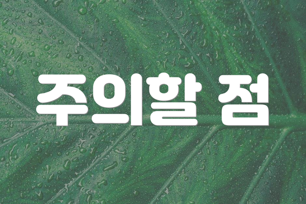 주의할 점