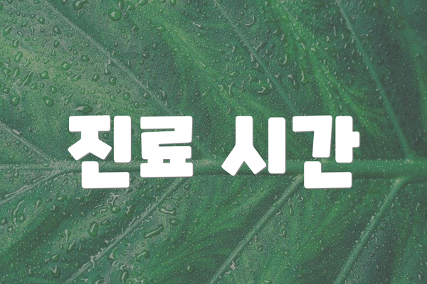 진료 시간