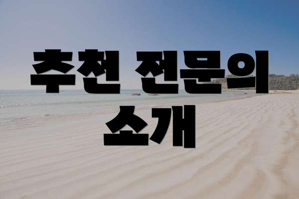 추천 전문의 소개