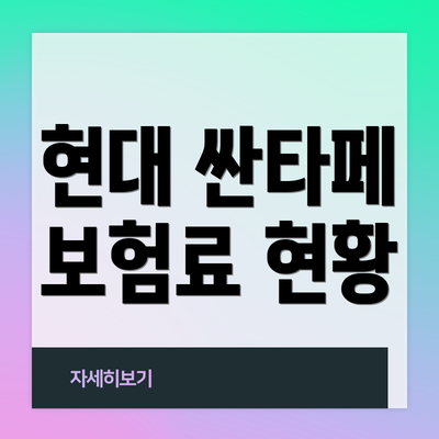 현대 싼타페 보험료 현황