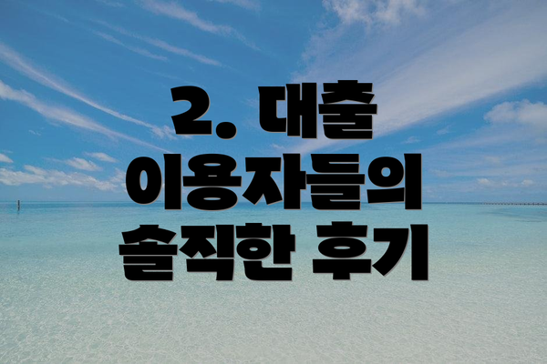 2. 대출 이용자들의 솔직한 후기