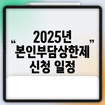 2025년 본인부담상한제 신청 일정