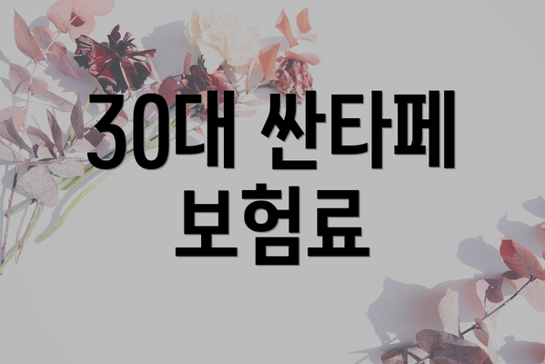 30대 싼타페 보험료