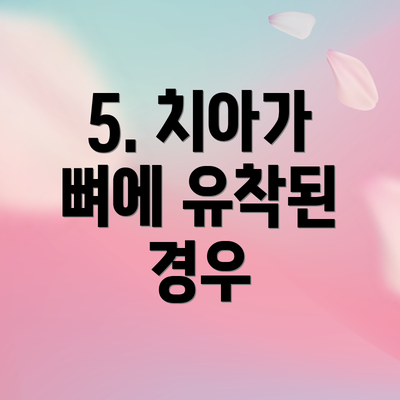 5. 치아가 뼈에 유착된 경우