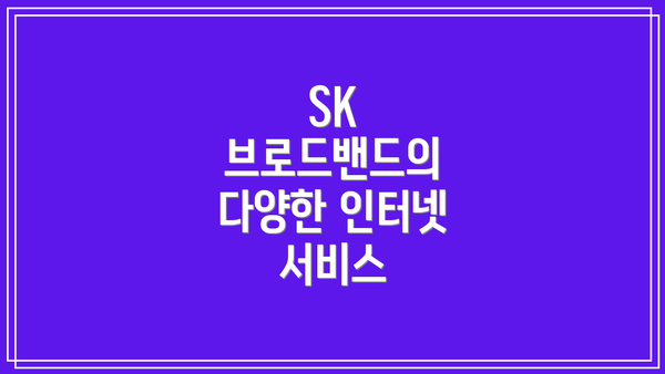SK 브로드밴드의 다양한 인터넷 서비스