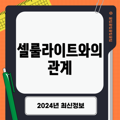 셀룰라이트와의 관계