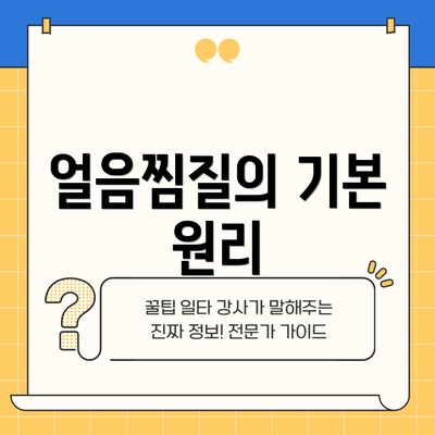 얼음찜질의 기본 원리