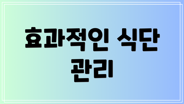 효과적인 식단 관리