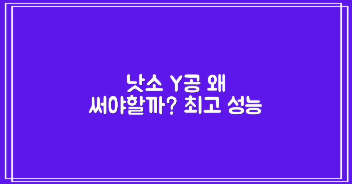 낫소 Y 공, 왜 선택해야 할까?
