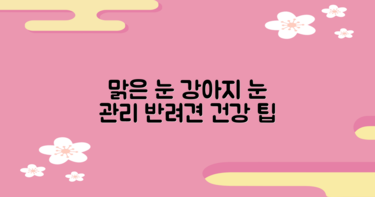 강아지 눈, 상쾌하게 관리하세요!