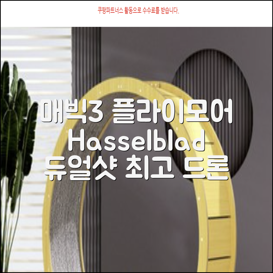 DJI 정품 매빅3 플라이모어 콤보 Hasselblad 듀얼카메라 망원렌즈 장애물감지 촬영용드론, 1개 추천 리뷰