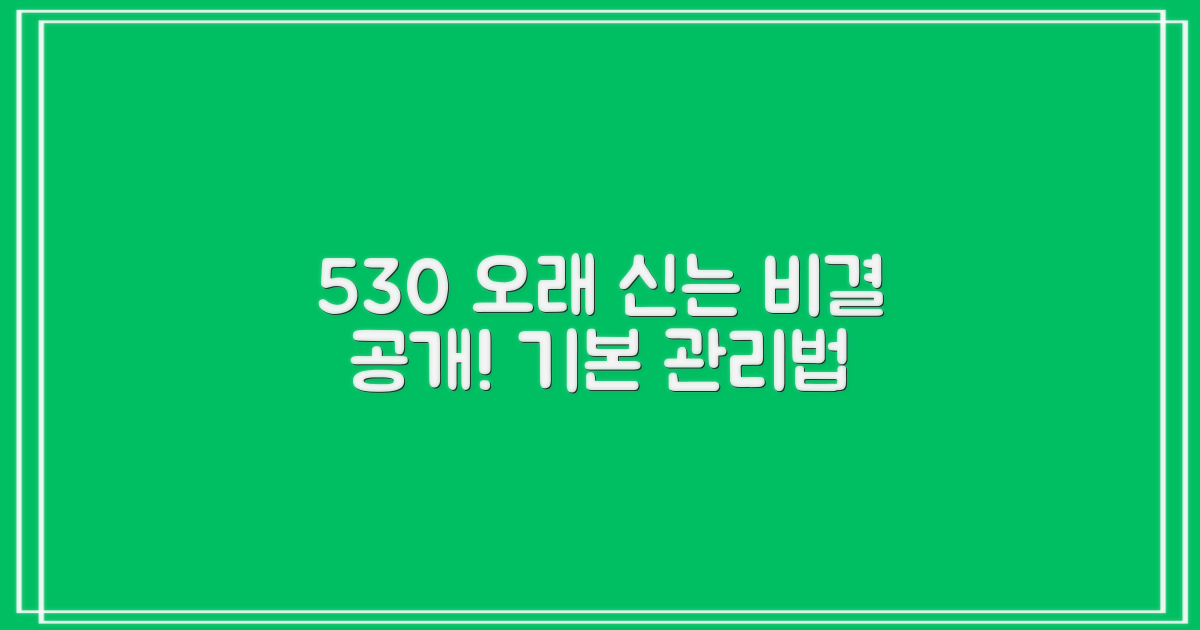 530, 오래 신는 관리법 알기