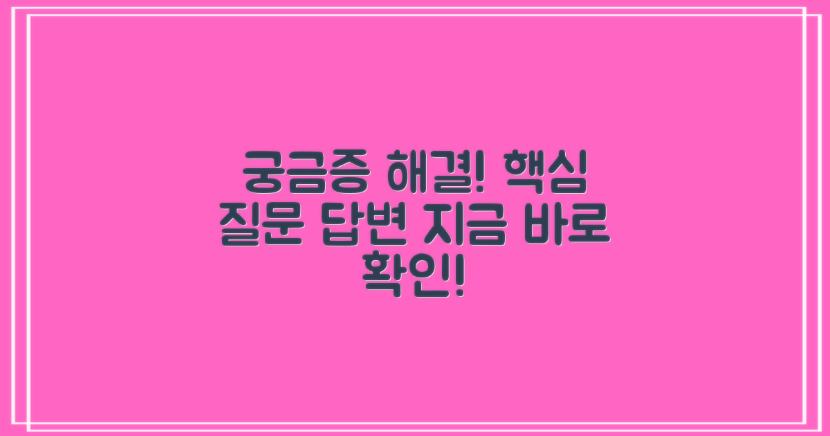 자주 묻는 질문