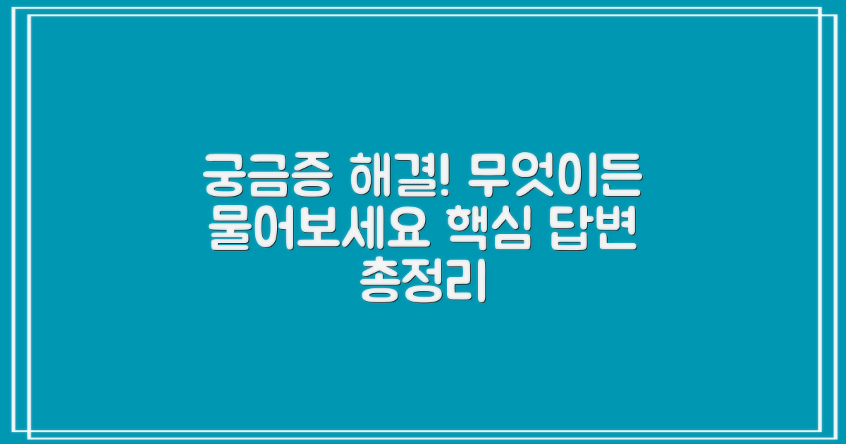 자주 묻는 질문