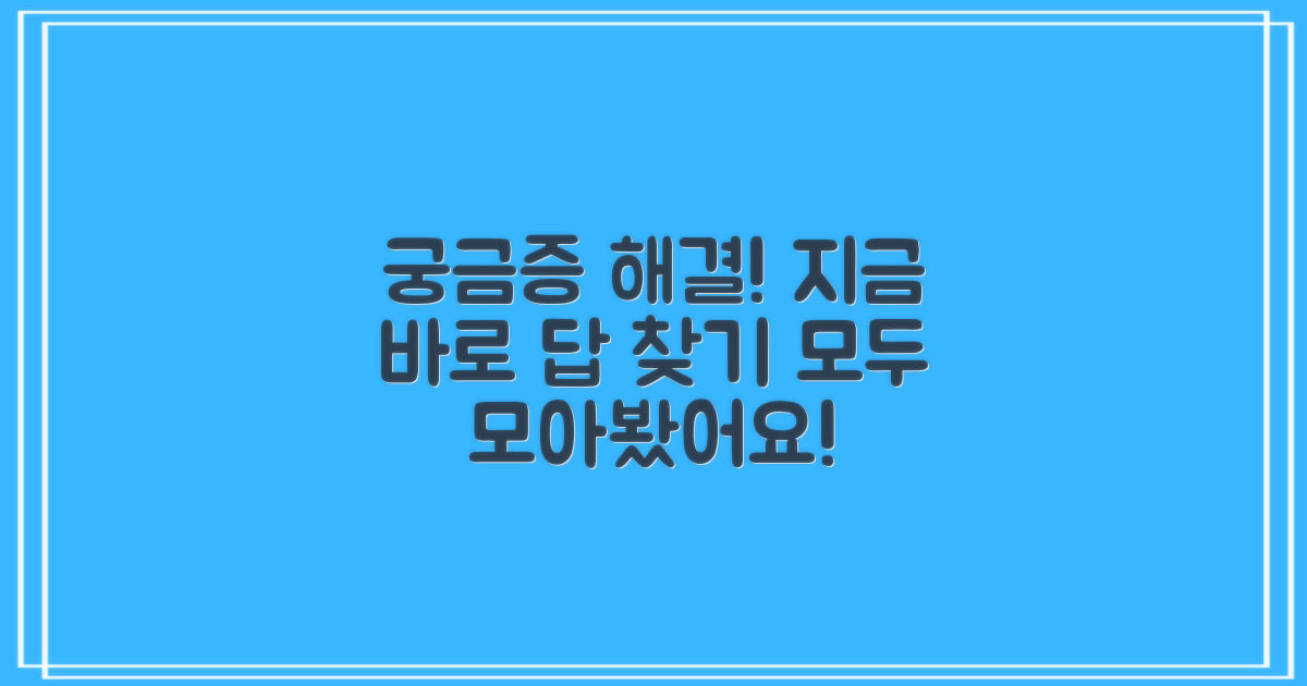 자주 묻는 질문