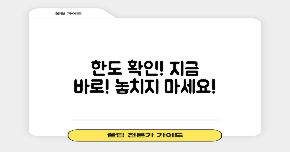 당신의 한도를 지금 확인하세요!