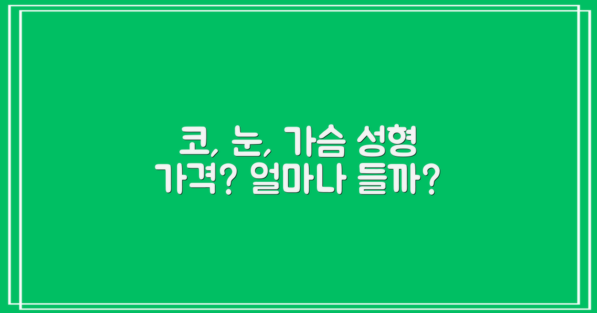 코, 눈, 가슴, 가격은 얼마일까?