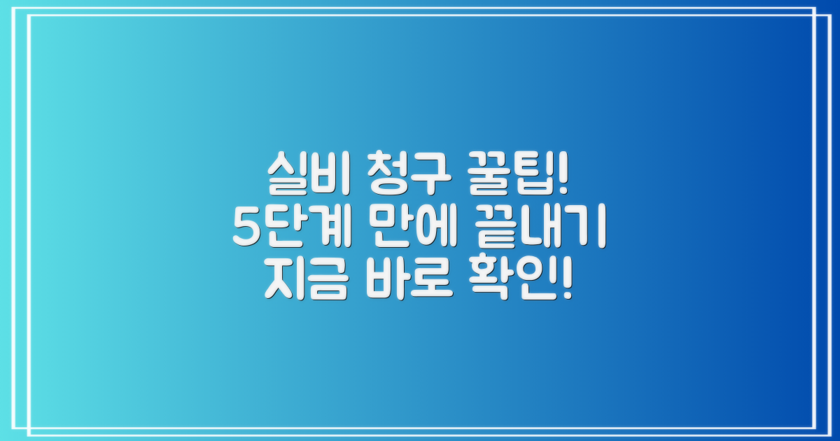 실비 청구, 5단계 상세 절차